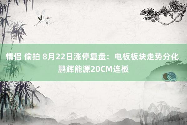 情侣 偷拍 8月22日涨停复盘:电板板块走势分化 鹏辉能源20CM连板