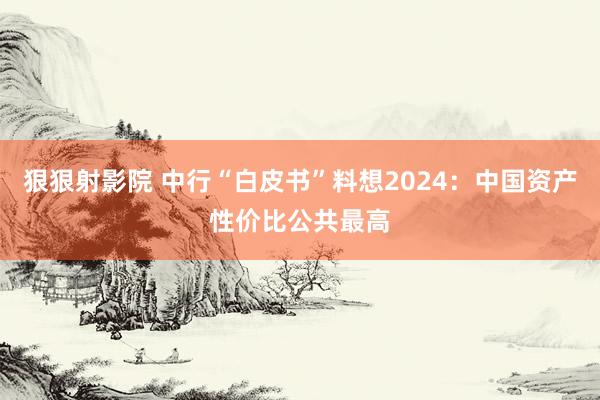 狠狠射影院 中行“白皮书”料想2024：中国资产性价比公共最高