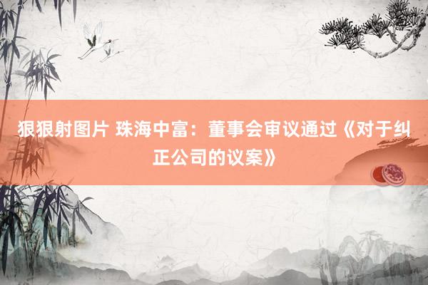 狠狠射图片 珠海中富：董事会审议通过《对于纠正公司的议案》