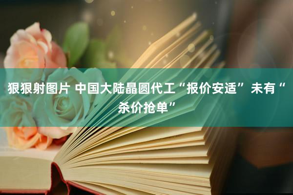 狠狠射图片 中国大陆晶圆代工“报价安适” 未有“杀价抢单”