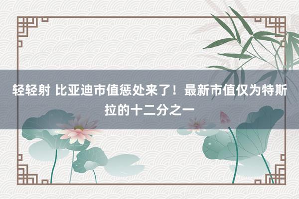 轻轻射 比亚迪市值惩处来了！最新市值仅为特斯拉的十二分之一