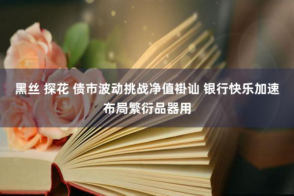 黑丝 探花 债市波动挑战净值褂讪 银行快乐加速布局繁衍品器用